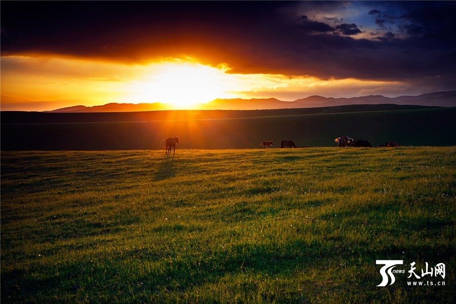 Picturesque summer scenery of Tuohulasu Prairie in Xinjiang