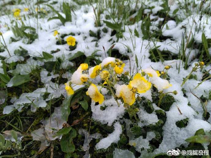 Snow on a scorching summer day?