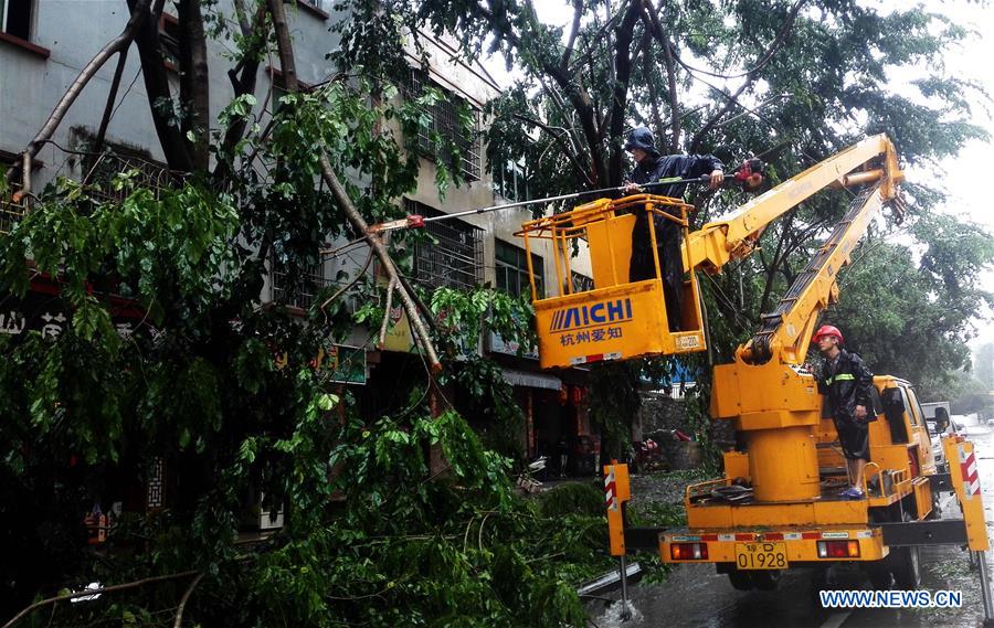 China renews blue alert for Typhoon Talas