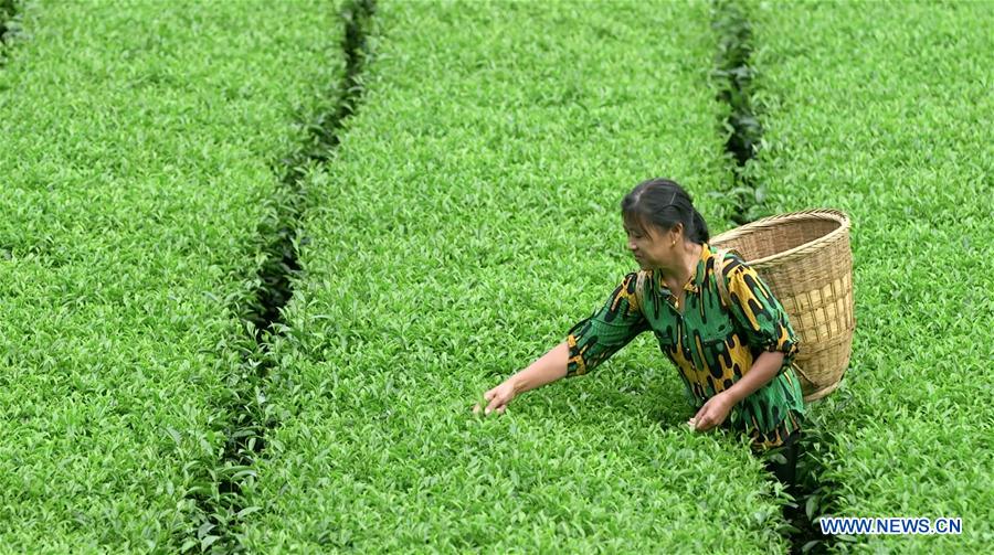 Outdoor work continues despite sweltering weather across many parts of China