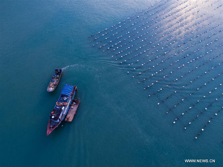 Scenery of Nanji islands in east China's Zhejiang