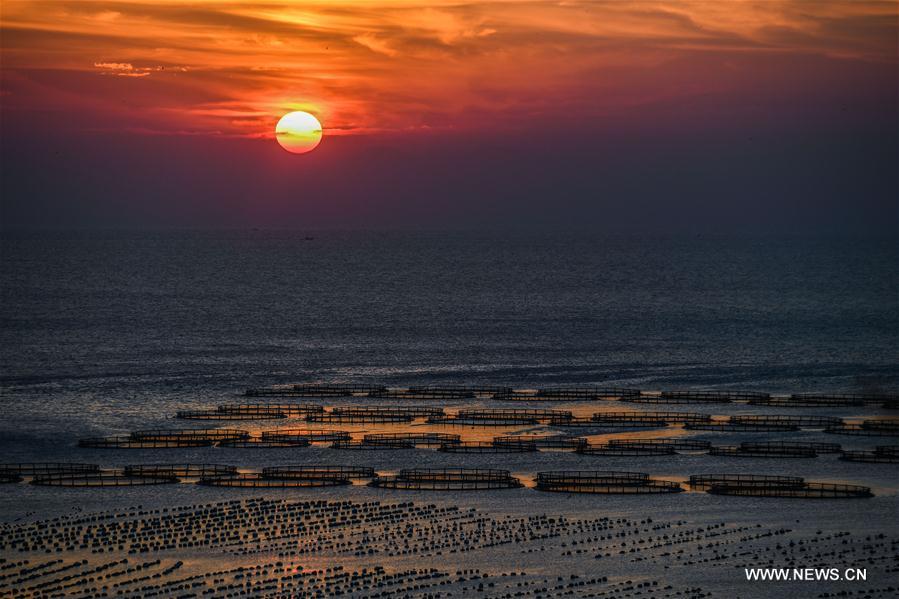 Scenery of Nanji islands in east China's Zhejiang