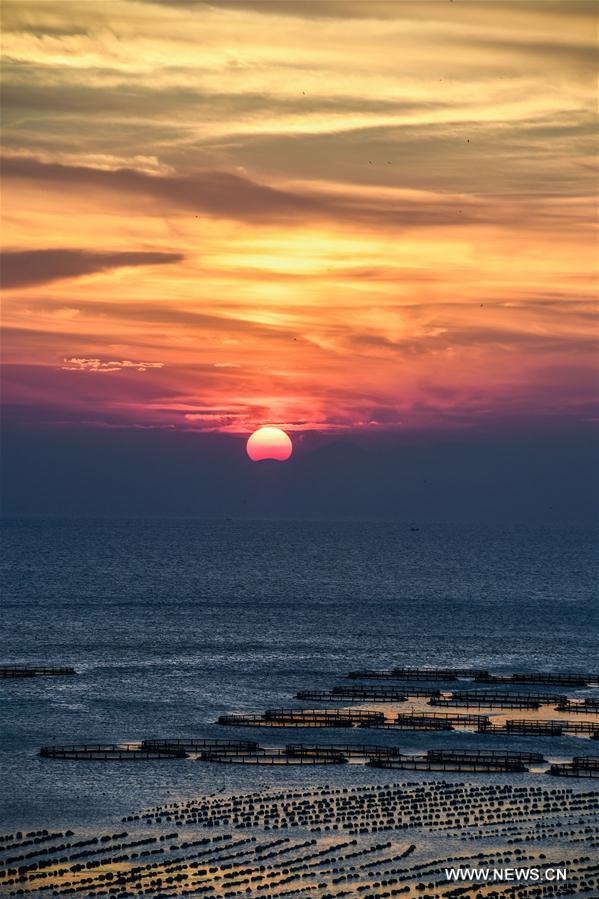 Scenery of Nanji islands in east China's Zhejiang