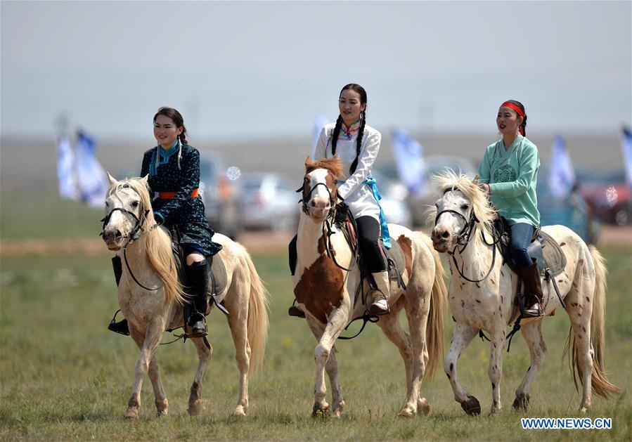 Efforts made to protect Mongolian horse culture