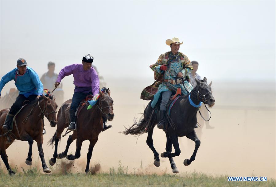 Efforts made to protect Mongolian horse culture