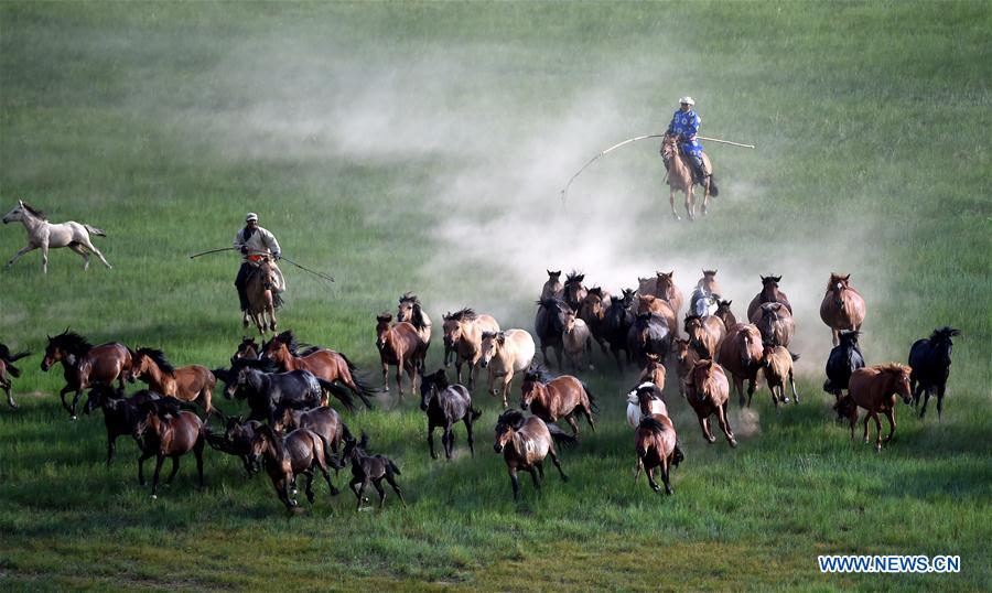 Efforts made to protect Mongolian horse culture