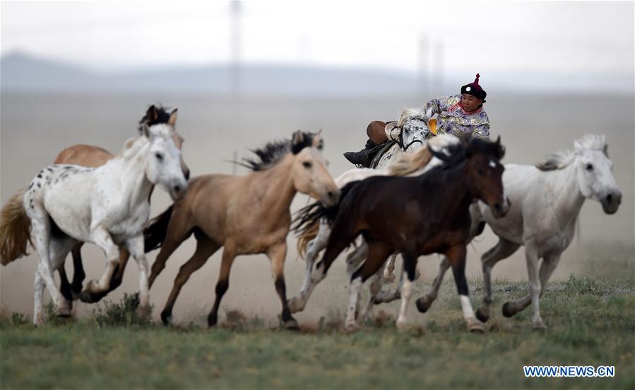 Efforts made to protect Mongolian horse culture