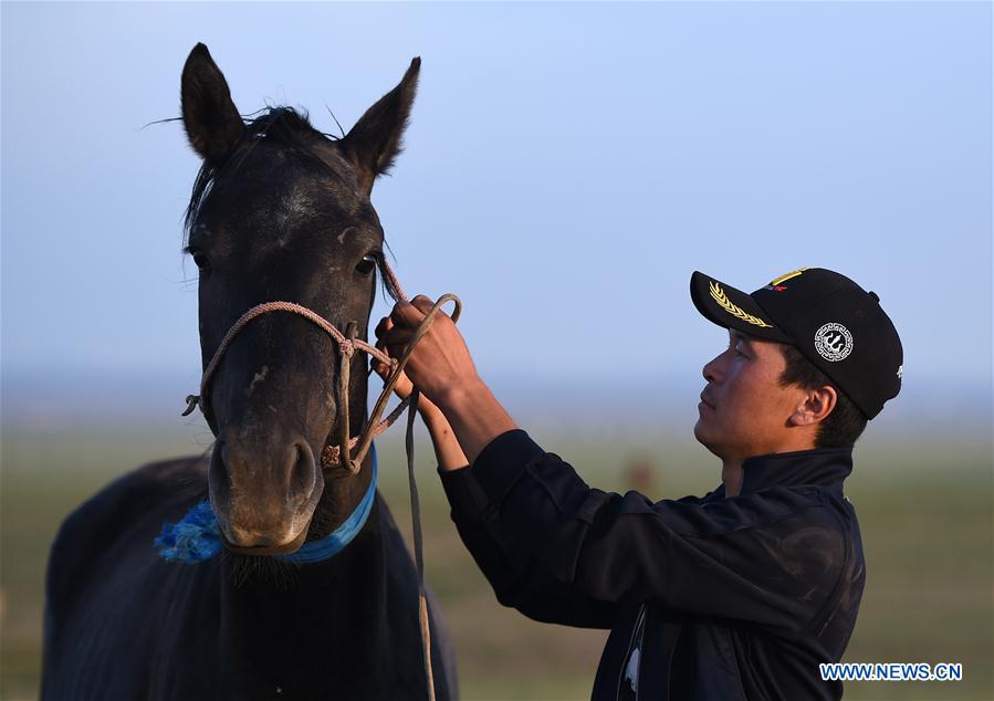 Efforts made to protect Mongolian horse culture