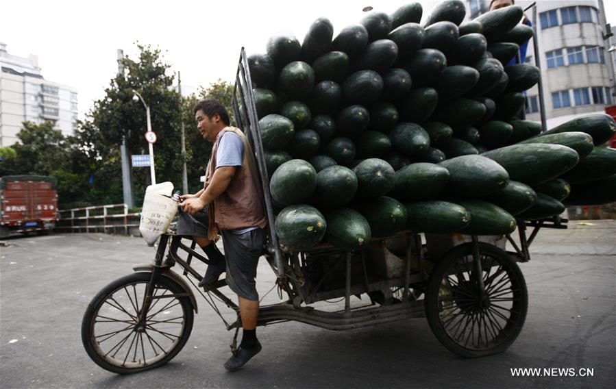 Shanghai issues red alert for high temperatures