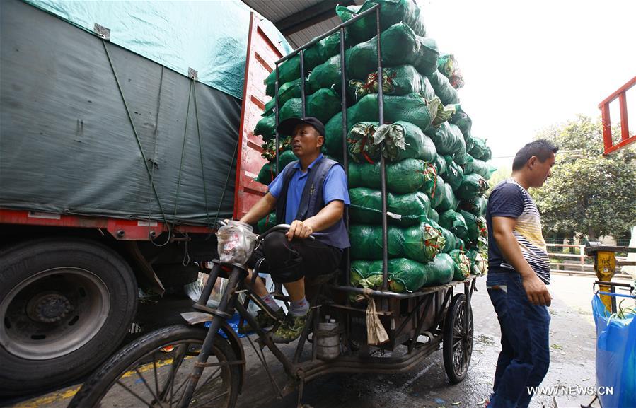 Shanghai issues red alert for high temperatures