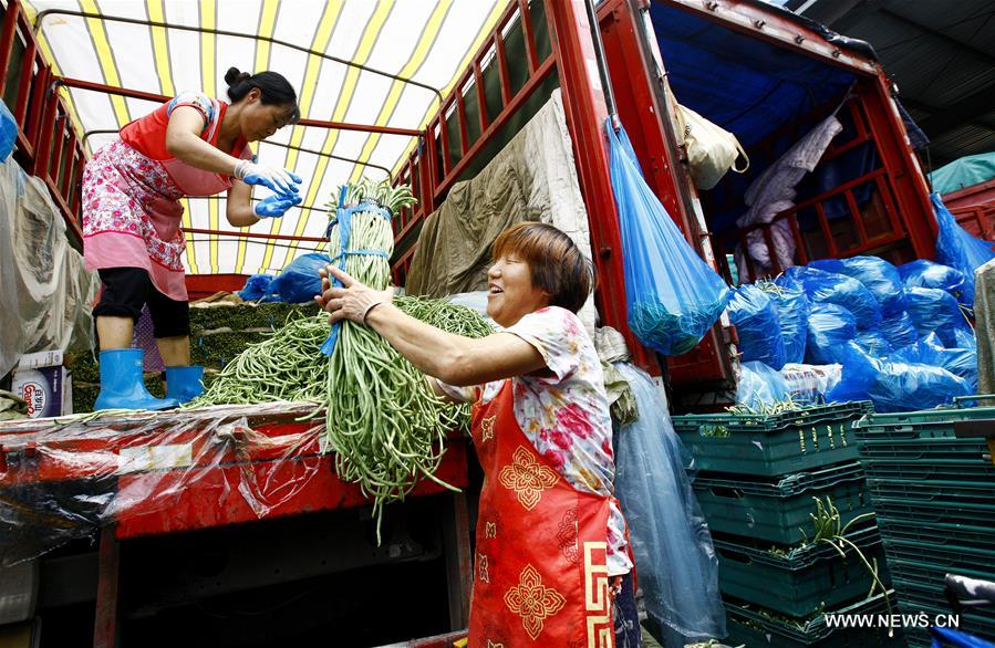 Shanghai issues red alert for high temperatures