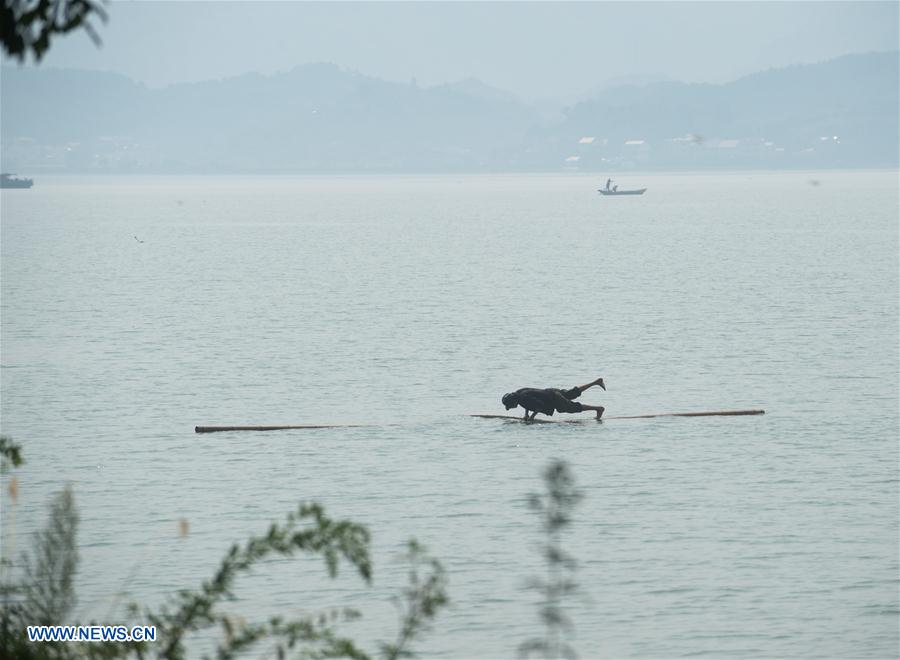 Hangzhou citizen crosses Xin'an River using 2 bamboo poles