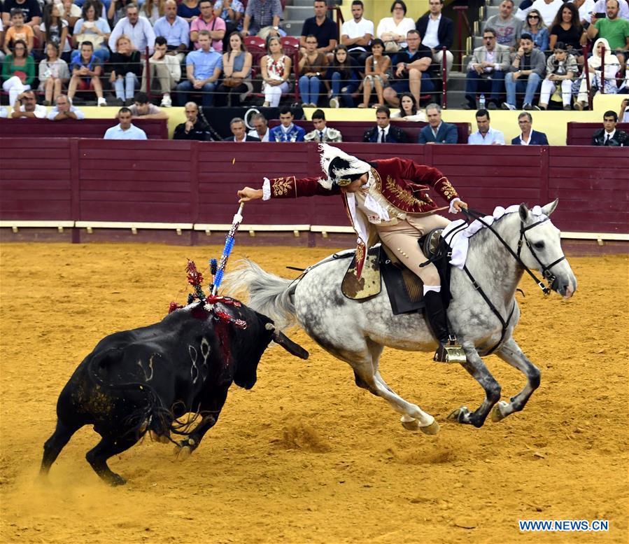 Highlights of bullfighting in Lisbon, Portugal