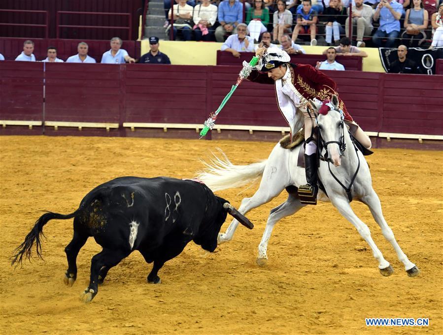 Highlights of bullfighting in Lisbon, Portugal