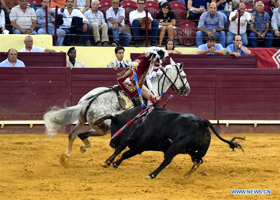 Highlights of bullfighting in Lisbon, Portugal