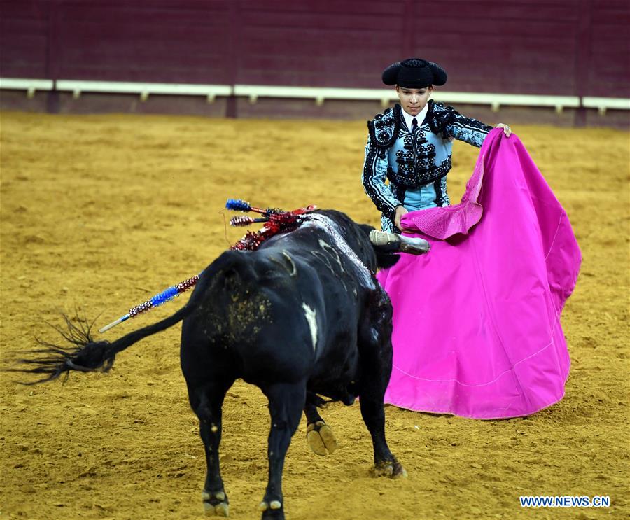 Highlights of bullfighting in Lisbon, Portugal