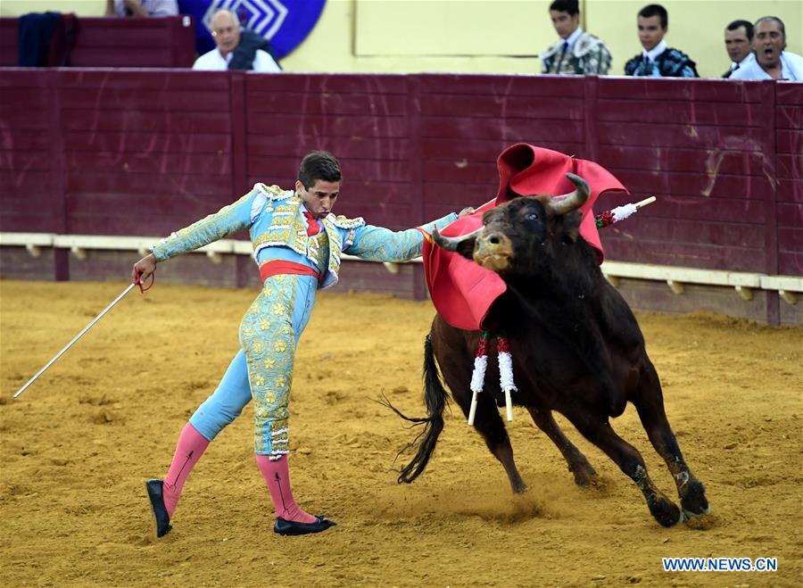 Highlights of bullfighting in Lisbon, Portugal