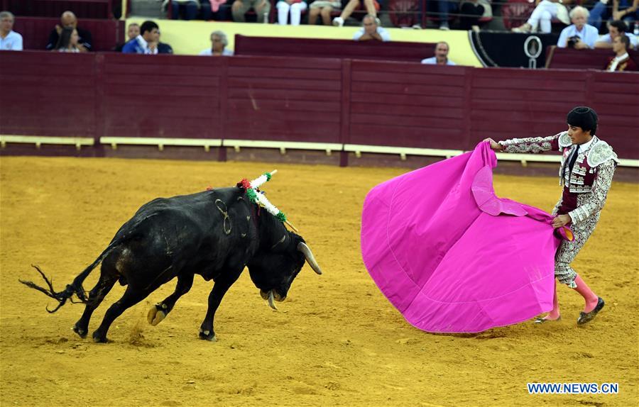 Highlights of bullfighting in Lisbon, Portugal