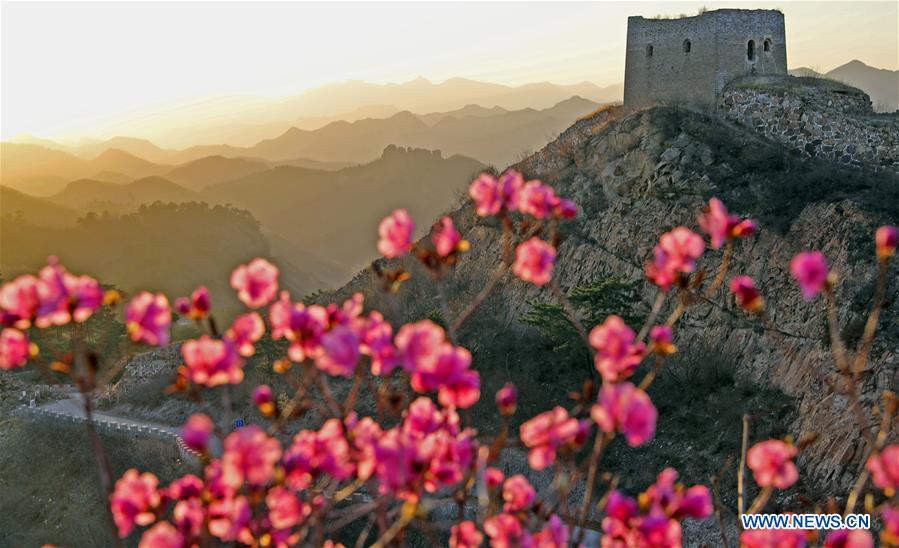 Scenery of ancient Great Wall in NE China's Liaoning