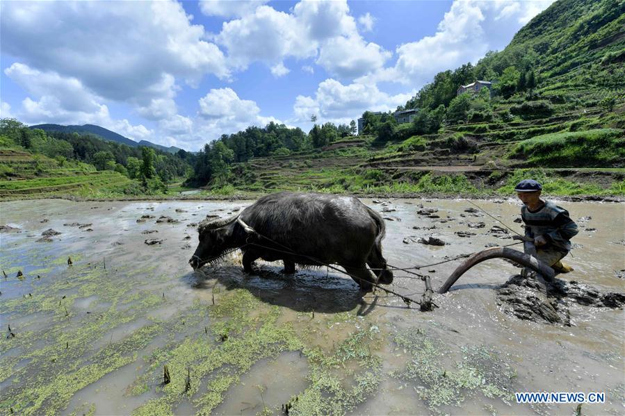 In pics: Farmers work at fields in China