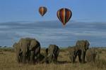 Chinese volunteers boost Kenya’s tourism sector