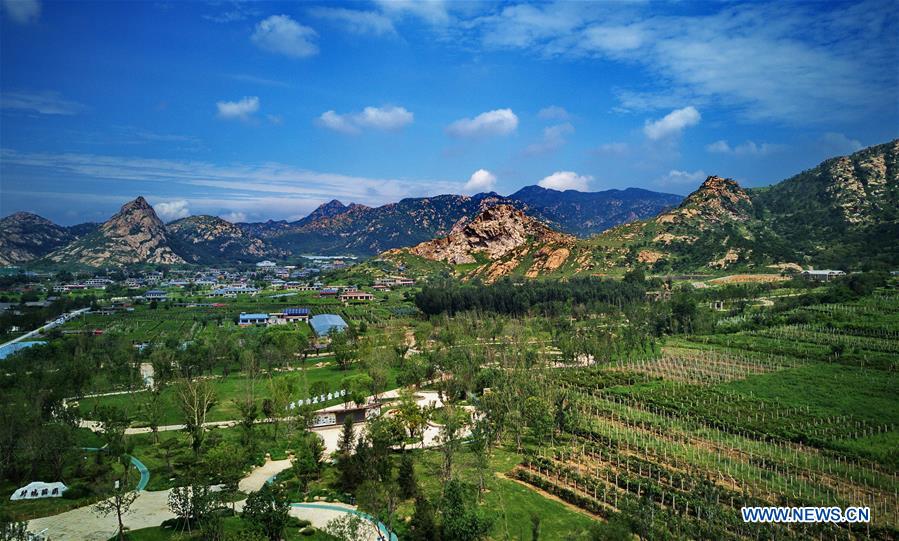 Pit, sump transformed to ecological parks in north China's Hebei