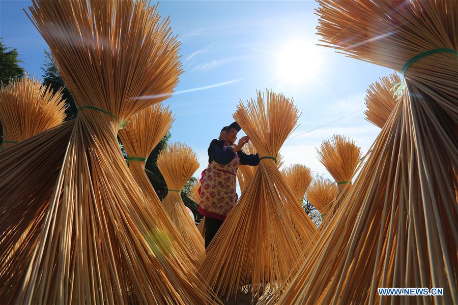 China's Chishui promotes bamboo-related industry to boost locals' income