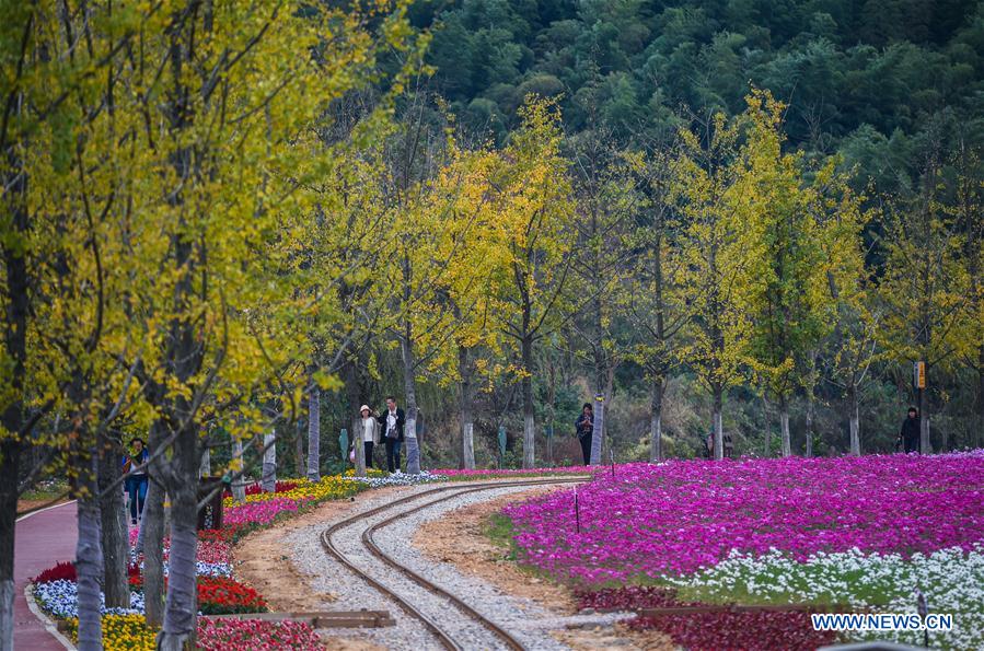 Beautiful scenery of flower-decorated Xiaopu Township in east China