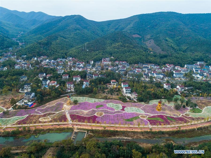 Beautiful scenery of flower-decorated Xiaopu Township in east China