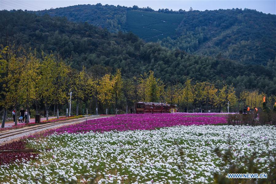 Beautiful scenery of flower-decorated Xiaopu Township in east China