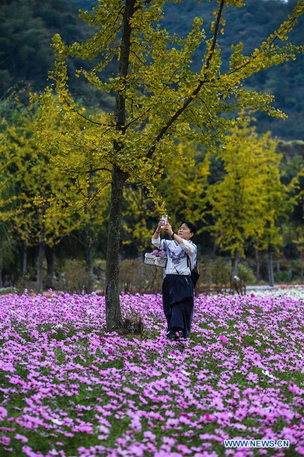 Beautiful scenery of flower-decorated Xiaopu Township in east China