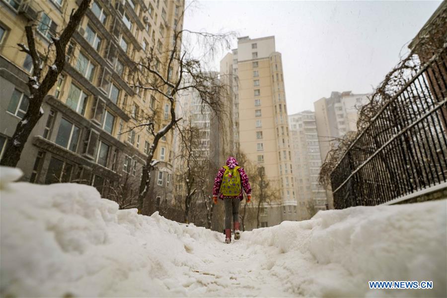 Snow falls in Urumqi, NW China's Xinjiang