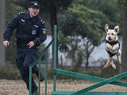 Police dogs trained in Wuhan, central China's Hubei