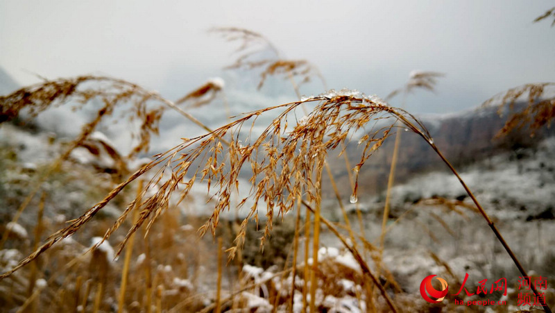 Snow scenery on Yuntai Mountain, central China