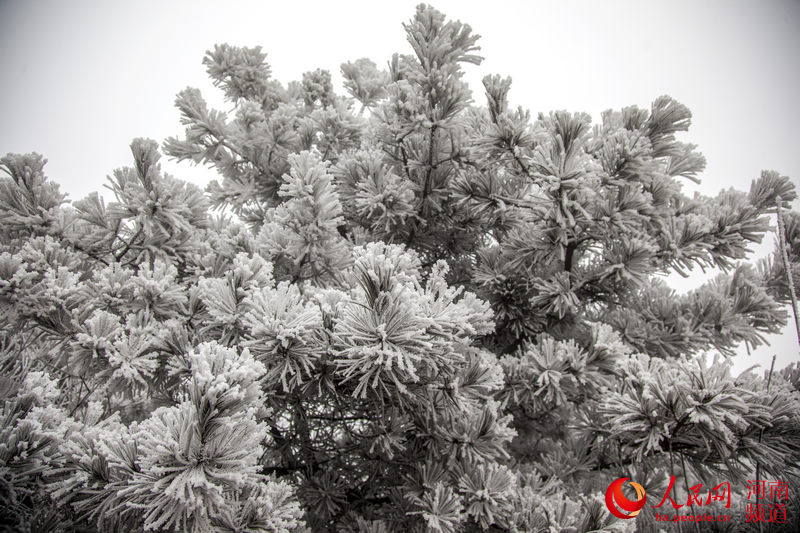 Snow scenery on Yuntai Mountain, central China