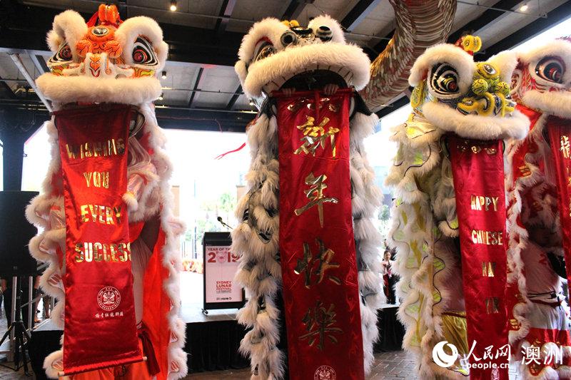 2019 Lunar New Year celebrations kick off in Sydney