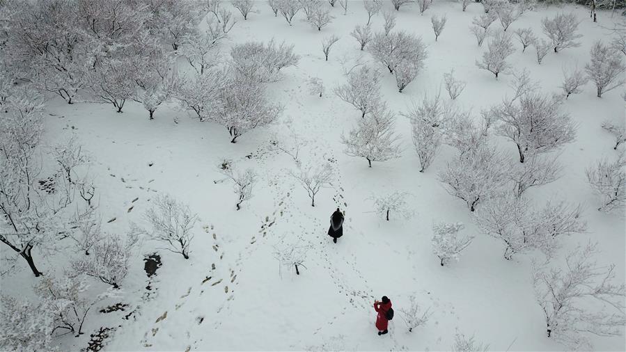 Snow scenery of tourism resorts across China