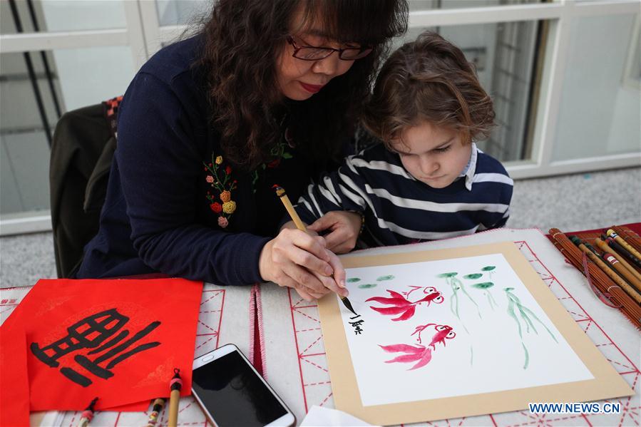 Activities featuring Chinese culture held to celebrate Chinese Lunar New Year in Netherlands