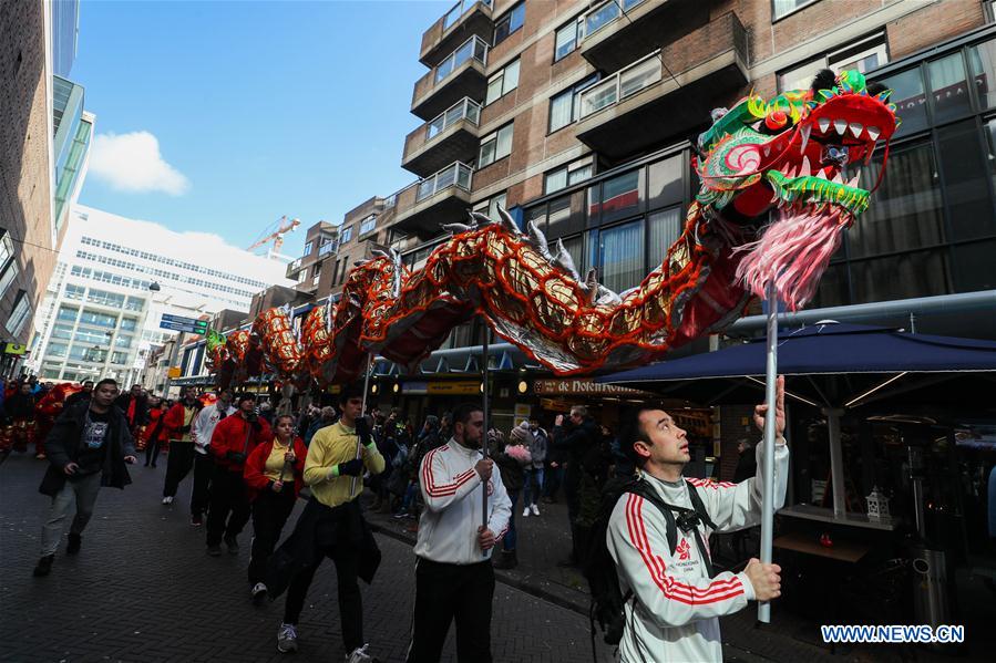 Activities featuring Chinese culture held to celebrate Chinese Lunar New Year in Netherlands