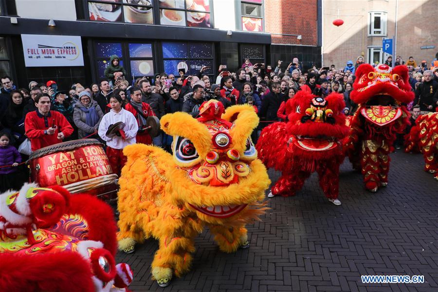 Activities featuring Chinese culture held to celebrate Chinese Lunar New Year in Netherlands