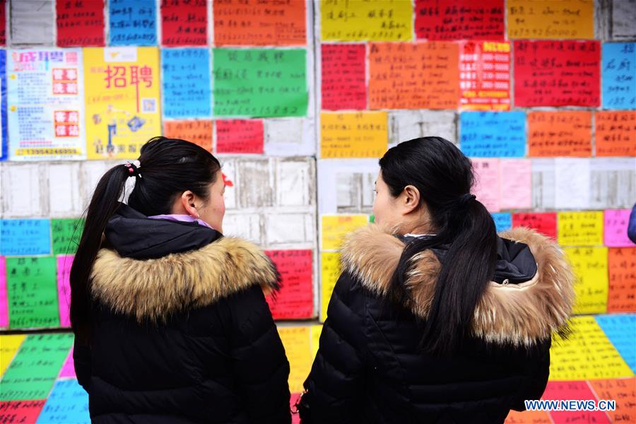 Job fairs held in China's multiple cities after Spring Festival