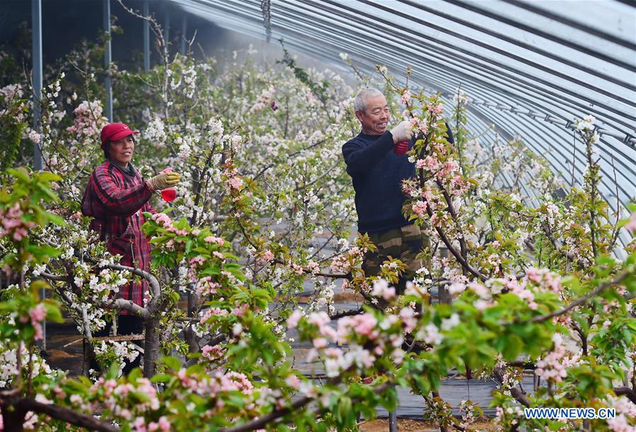 People across China begin to engage in farming in early spring