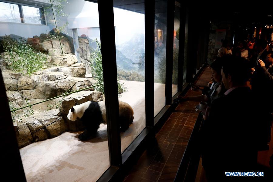 U.S. national zoo holds housewarming event inside giant panda house