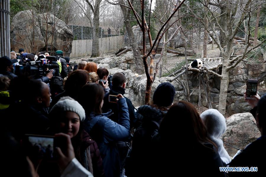 U.S. national zoo holds housewarming event inside giant panda house