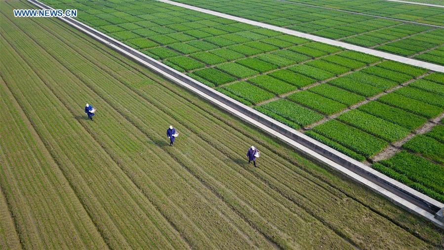 Farmers busy with farm work in early spring across China