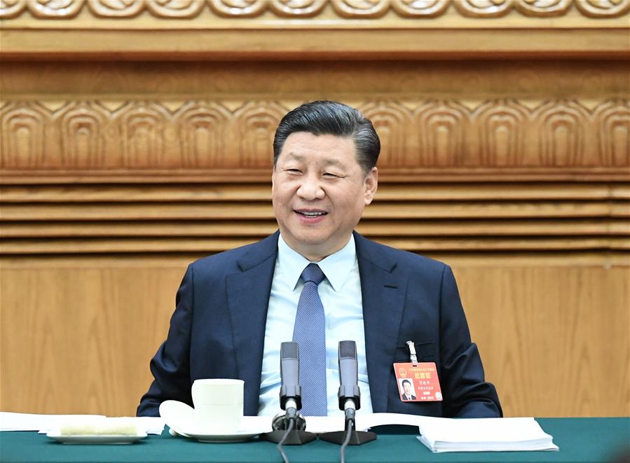 Xi stresses implementation of rural revitalization strategy