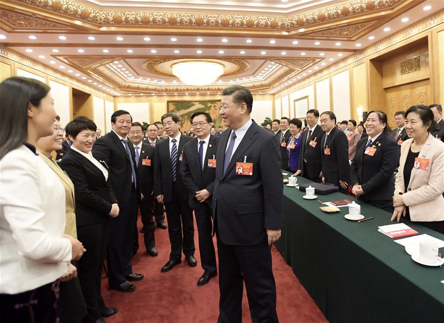 Xi stresses implementation of rural revitalization strategy