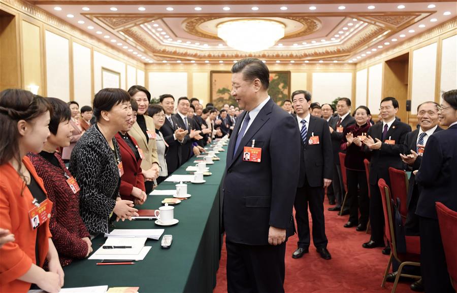 Xi stresses implementation of rural revitalization strategy