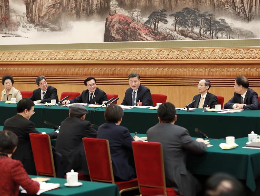 Xi stresses implementation of rural revitalization strategy