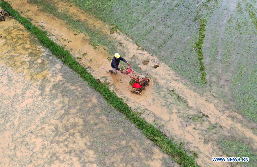 Spring scenery of Du'an, south China's Guangxi